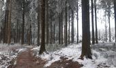 Tocht Stappen Malmedy - hommage à ma mère  - Photo 1