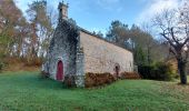 Trail Walking Limerzel - PR_56_Limerzel_AA_01_Vallee-Du-Trevelo_Circuit1b_20231215 - Photo 11