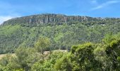 Tour Wandern Belgentier - Barre de Cuers depuis Belgentier - Photo 12