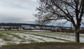 Tour Wandern Florenville - Randonnée à Florenville  - Photo 13