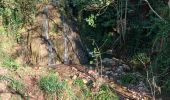 Trail Walking Vins-sur-Caramy - Vins sur Caramy-13-11-2024  - Photo 8