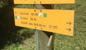 Trail Walking Tignes - Nazonde par la forêt  - Photo 4