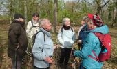 Excursión Senderismo Fontainebleau - la mare aux fées 14 avril 20236 - Photo 11