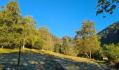 Tour Wandern Metzeral - Le belvédère du 1e Spitzkopf - Photo 12