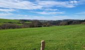 Trail Walking Bertrix - Auby sur Semois 140324 - Photo 20