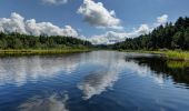 Tocht Te voet Seeboden am Millstätter See - 23: Samkt Wolfgang - Egelsee - Photo 2