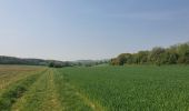 Tocht Stappen Ferrières - rando sy 3-05-2022 - Photo 13