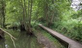 Trail Walking Charentilly - Charentilly - variante Chemin des Grandes Tailles - 11.2km 110m 3h00 - 2025 08 27 - Photo 6