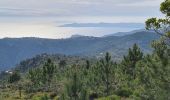 Randonnée Marche Cavalaire-sur-Mer - Cavalaire - oppidum de montjean crête des pradels - Photo 4