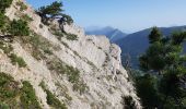 Trail Walking Chichilianne - Tete de Praortzel et Crête de Grande Leirie - Photo 3