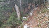 Trail Walking Saint-Christophe-sur-Guiers - 38 grand som par sente intermediaire - Photo 1