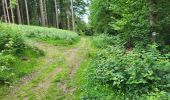 Trail Walking Vresse-sur-Semois - Allesur Semois 020625 - Photo 19
