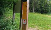 Excursión Senderismo Saint-Martin-en-Vercors - Pas st Martin - Photo 2