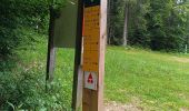 Tour Wandern Saint-Martin-en-Vercors - Pas st Martin - Photo 2