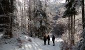 Excursión Senderismo La Chapelle-en-Vercors - Belvédère de Revoulat - Photo 10