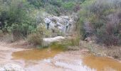 Trail Walking Roquebrune-sur-Argens - ROQUEBRUNE-Le pas de l' Eouvé- MBO - Photo 8