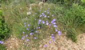 Tocht Stappen La Motte-Chalancon - La Motte Chalancon - Plateau de la Chau - Photo 15