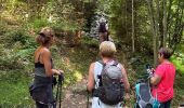 Trail Walking Sainte-Ode - Lavacherie - Photo 6