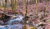 Randonnée Marche Jalhay - Légendes et forêt enchantée à Solwaster. (Promenade 57)  - Photo 10