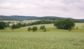 Tour Zu Fuß Detmold - Gustav-Mesch-Weg - Photo 8