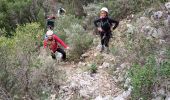 Trail Walking Ollioules - Destel  avec les Seynois - Photo 20