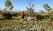 Percorso Mountainbike Saint-Zacharie - Vallon de l'Espagnol St Zacharie - Photo 3