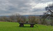 Tour Wandern Aywaille - autour de Dieupart et Sougné sur les deux versants  - Photo 16