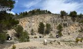 Tour Wandern Mérindol - PF-Mérindol - Carrières - Durance - Garrigue - CP - Photo 4