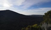 Excursión Senderismo Sainte-Rose - Le Piton de la fournaise (aller)  - Photo 10