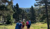 Tour Wandern Saint-Agnan-en-Vercors - Grand Veymont face ouest  - Photo 4