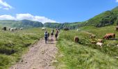 Trail Walking Lavigerie - la Gravière/ brèche de Roland Peyre arse - Photo 9