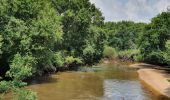 Tocht Hybride fiets Le Teich - Le Teich - Photo 3