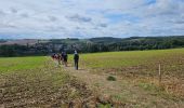 Randonnée Marche Anhée - Balade de Denée à Ermeton-sur-Biert - Photo 8
