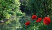 Tour Zu Fuß Gemeinde Sitzenberg-Reidling - Große Gemeinderunde - Photo 7