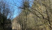 Trail Walking Bouillon - Bouillon 1 - Photo 15