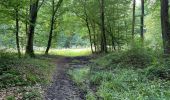 Trail Walking Villers-Cotterêts - en forêt de Retz_87_la Laie des Masures par la Route Chrétiennette - Photo 10