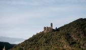 Tour Zu Fuß Sankt Goarshausen - Rheinsteig-Zuweg Nochem - Photo 1