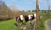 Tocht Stappen Lentilly - Santier des vaches LENTILLY  - Photo 9