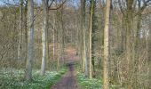 Trail Walking Beauvechain - Meerdael et molendaal à partir de Hamme Mil - Photo 5