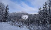 Trail On foot Machov - [Ž] Pánův kříž - Bor - Photo 5