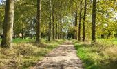 Tour Wandern La Bruyère - Emines 280923 - Photo 4