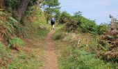 Tour Wandern Locquirec - 2024 RA Finistère Locquirec - Plougasnou - Photo 15