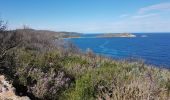 Tour Wandern La Croix-Valmer - GIGARO - CAP LARDIER A/R - Photo 11