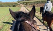 Trail Horseback riding Neufchâteau - Calanta 1er sortie Cousteumont - Photo 2