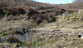 Tour Wandern Havelange - Boffeu -Chardeneux - Méan - Photo 4