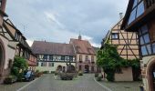 Trail Walking Kaysersberg-Vignoble - Du ⛺️ aux 4 villages - Photo 20