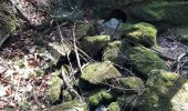 Randonnée A pied Maur - Ebmatingen - Forch - Photo 9