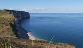 Randonnée Marche Le Tilleul - Le Tilleul - Jumel - Etretat - Photo 8