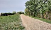 Tour Wandern Arles - AT 1 - Photo 1