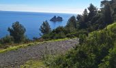 Excursión Senderismo La Seyne-sur-Mer - plage du 🐂  - Photo 6